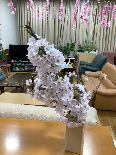 IMG_8025.png