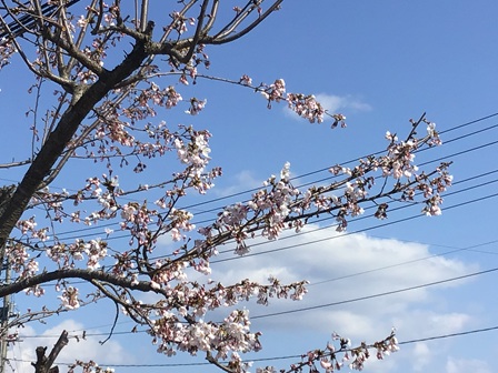 harunodoraibu-kanayatokuyou0.JPG
