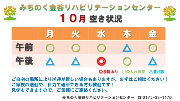 kanayarhihaakijoukyou2026-10.PNG