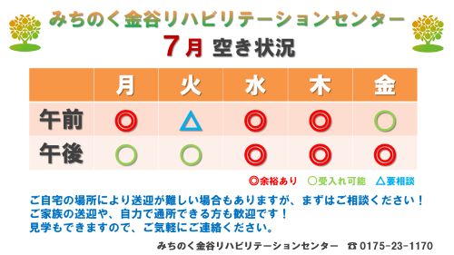 kanayarihaakijoukyou2026-07.png