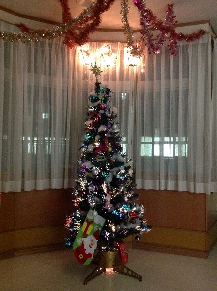 2017X'masTree.JPG