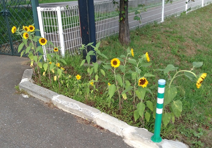 2025.08.31-1.jpg