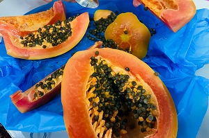 papaya resized.jpg